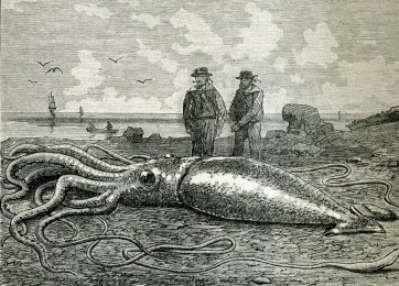 16593410097_265ef97def_b