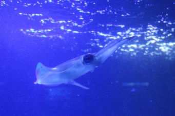 6930126584_e15db8d68c_k